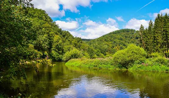 Aandachtstrekker Namen